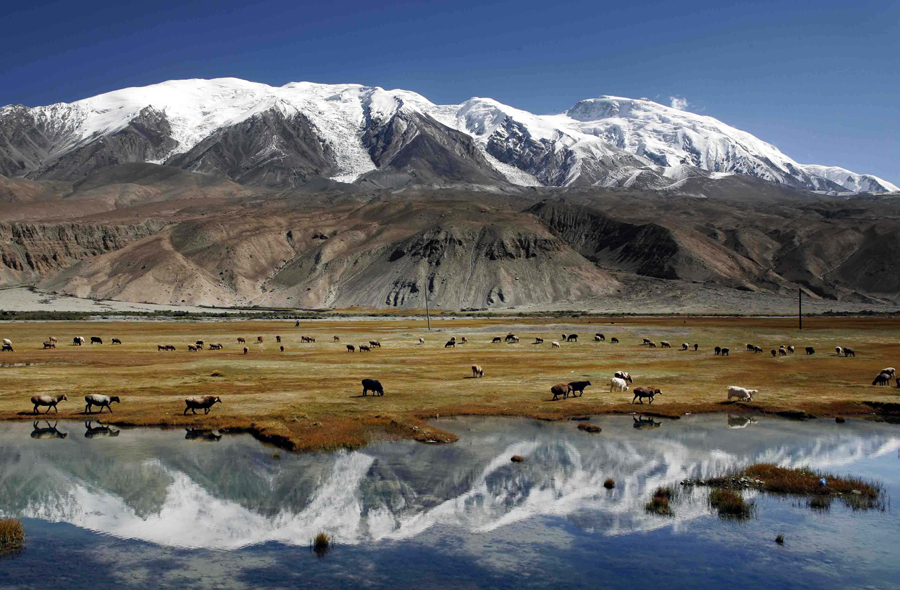 倍头条 | 拍得铜矿，，，，，，，，名堂翻开！尊龙凯z6mg官网营业新结构