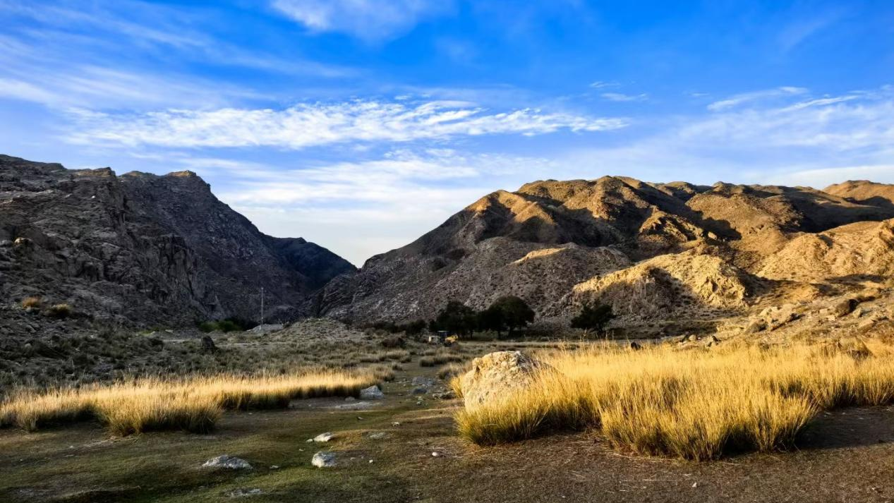 尊龙凯z6mg官网 | 硕果累累，，，，，，，矿产开发+工业水处置惩罚+智慧化运维齐头并进！